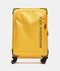 Eco Coated Trolley Large Exp