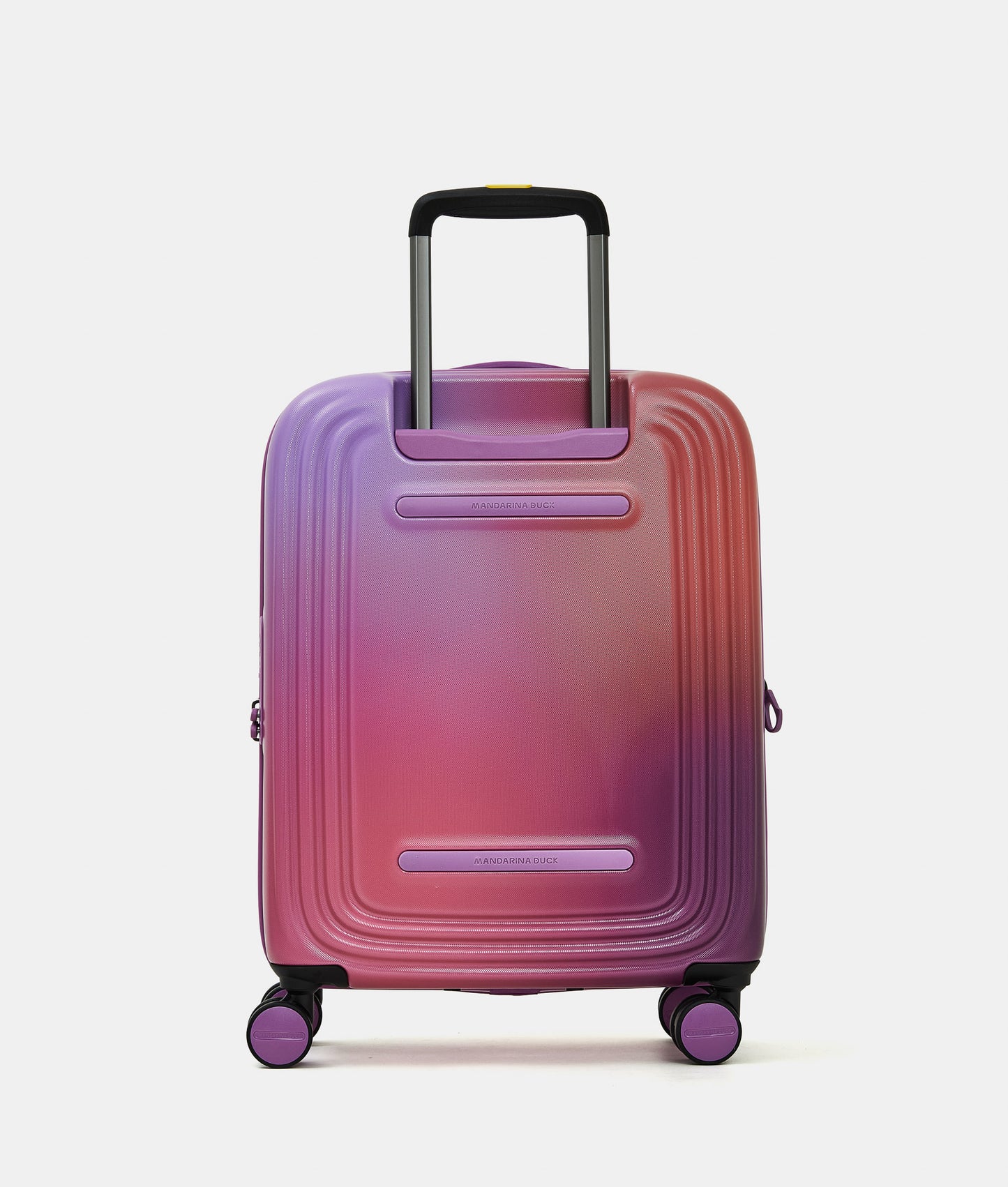 LOGODUCK + AURORA  CABIN EXP